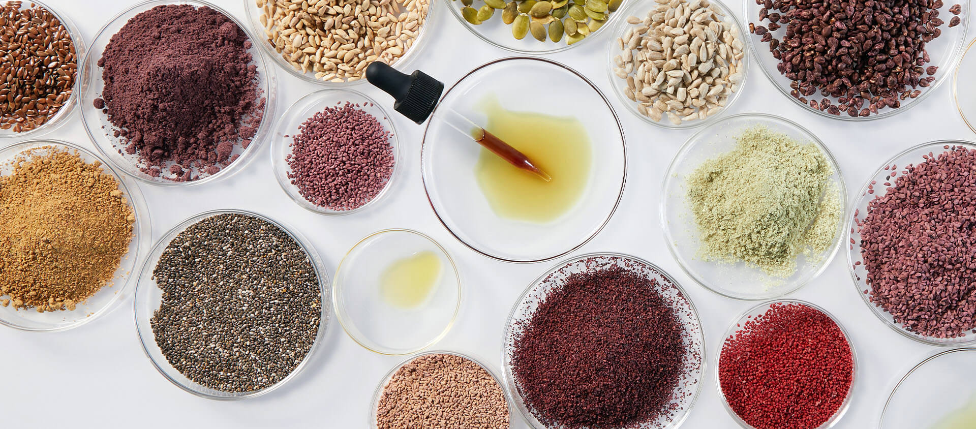 Botanic-Innovations-Seed-Powders-Seed-Oils Botanic innovations products in petri dishes
