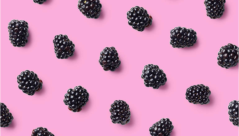 Blackberries on pink background