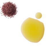 Black raspberry seed oil