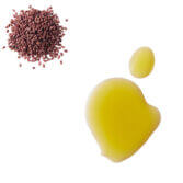 blackberry seed oil