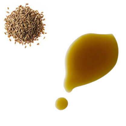 Carrot Seed Oil