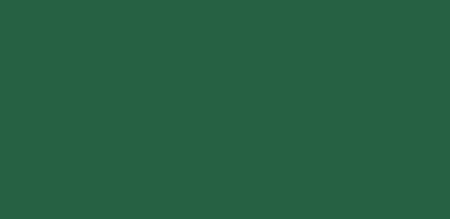 Solid forest green rectangle