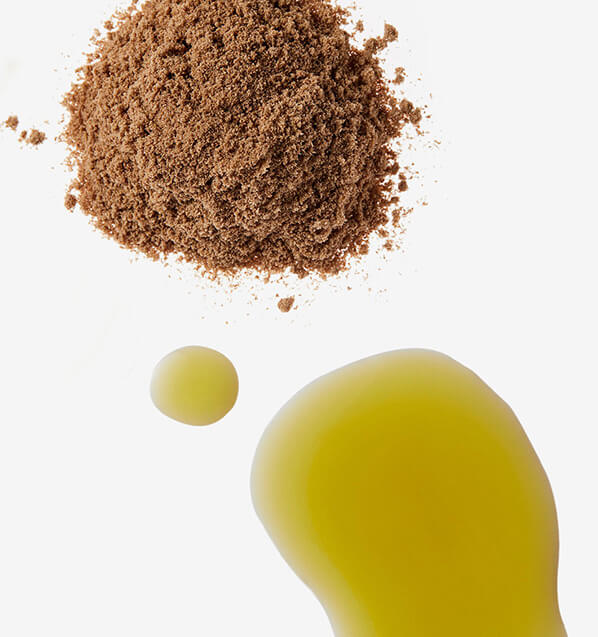 seed powder and seed oil