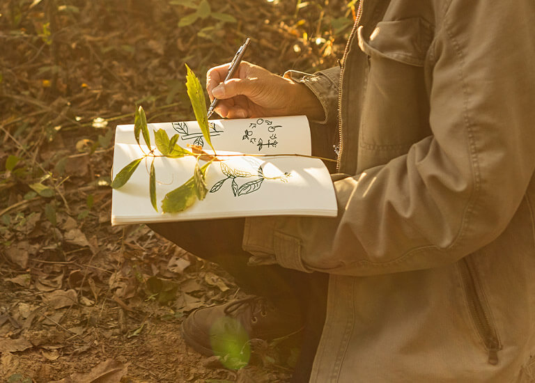 Botanist sketching in nature