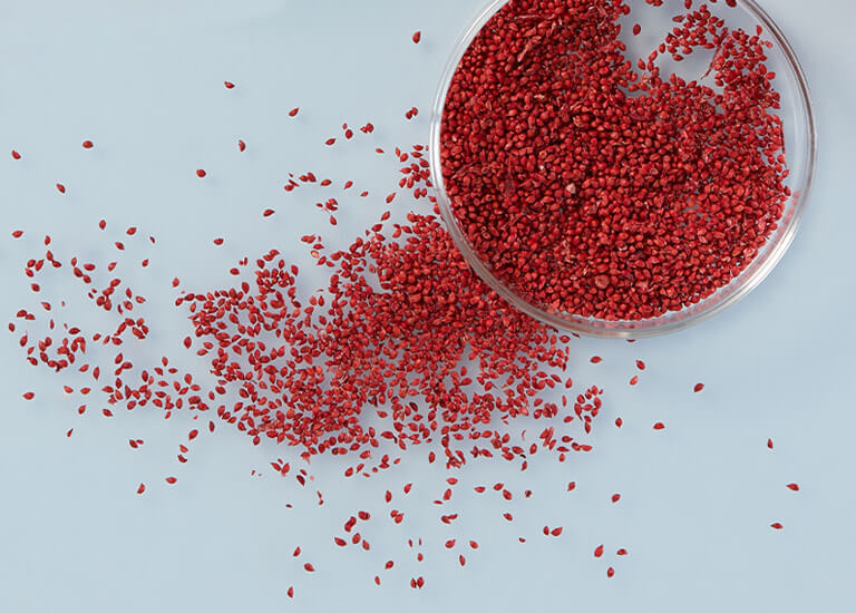 Cranberry seeds spilling out of a petri dish
